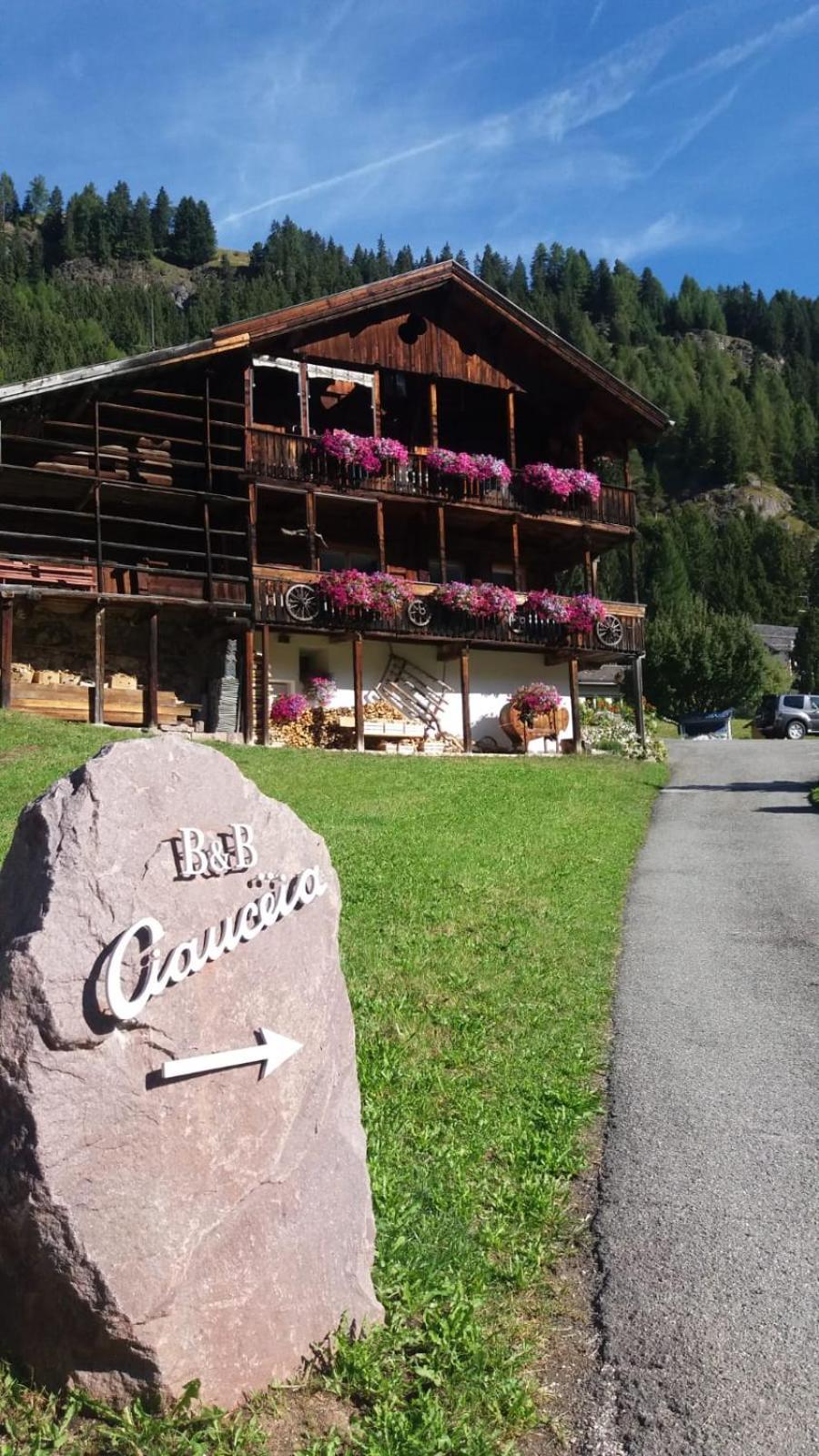 B&B Ciauceia Сельва-ді-Валь-Гардена Екстер'єр фото